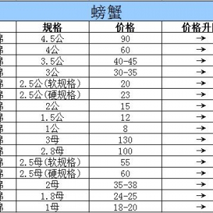 2015��10��22���|���P�\��з�r������