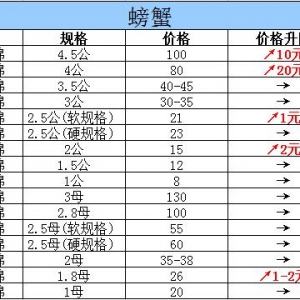 2015��10��23���|���P�\��з�r������