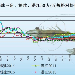 ���r��߅�r������(y��ng)��u�p��  �����r�r�����ϝq