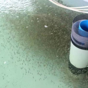 �Ԙ����Bʯ���~ ȫ��ʹ�����������Bֳ�����