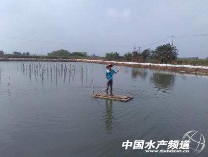 һ��ˮ�a���о�������ô����ˮ�a����