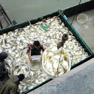 ������K�~�r�������߄ݣ����Ƿ񿴶��ˣ�