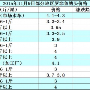 �_���~�r���܈�����؛Դ�p��   �~�r����څ��