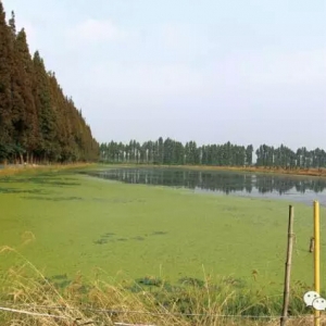 �������lз�B(y��ng)ֳ��e80�f��������Ј�����޴�