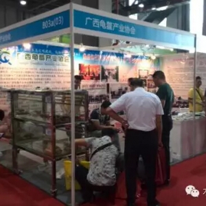 �Ї��|ݸ���M���[��ӡ��������c������