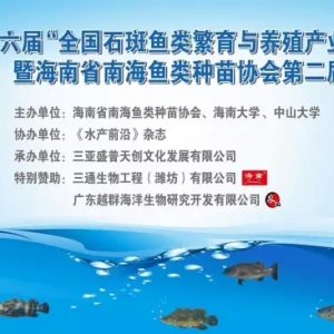 �����á�ȫ��ʯ���~����c�Bֳ�a�I����Փ��������Ļ��