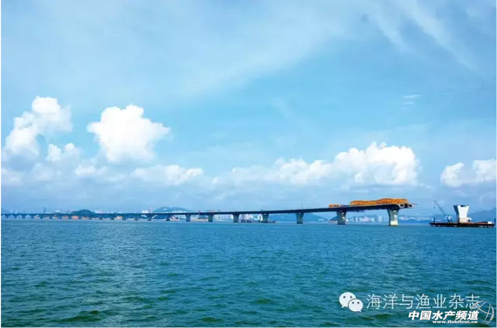 �V�|�����С������u���Ρ�Ȧ�ء�ʽ�_�l