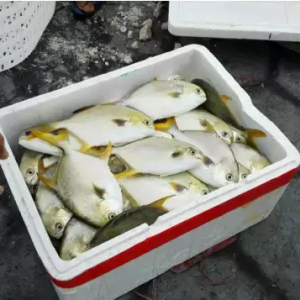 ���K�~�Ј���������Ʒ�~��Ȼ���N�����r�~��������