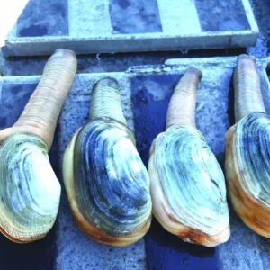 ���ô�ˮ�a�Bֳ�I���^�r�O�I��������