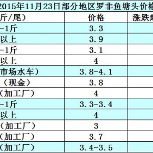 �_���~�r���܈����Q����С  �����~�r�y�q