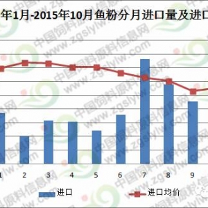 2015��10�·��~���M���ڷ������