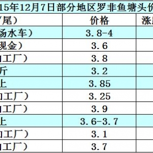 �_���~�r���܈󣺹����y�������»�  �������y����ɫ