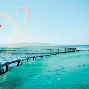 �]�e������ٝ�ȁ��������_���~�B(y��ng)ֳ������܊