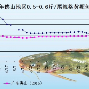 �S��~�r���܈��Ј��N��ƣܛ   �~�r���{