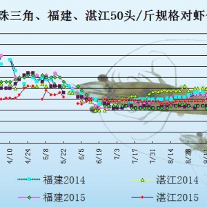 ���r�r���܈��Ј����M�嵭  �����r�r��q����