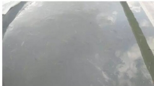 ���E��տ���ϴ�300���f�l���K�~Ī��ȫ܊���]