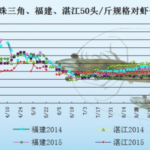 ���r��߅�r�����r����(y��ng)�p�� �r�r���w��(w��n)��