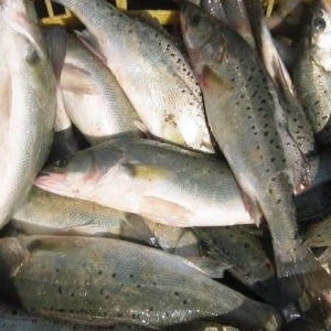 ����-�麣�ɵ�2015���°��꺣�|�~�r���߄ݷ���