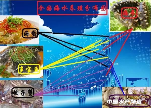 2015�꺣ˮ�B(y��ng)ֳ�Ј����Y(ji��)��(b��o)��