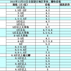 2015��12��23��ȫ�����ֵ؅^���~���a�~��߅�r