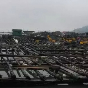 �B�m����죬�����~���Bֳ����ԓ��Α�����