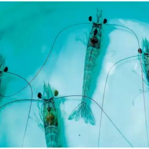 ����EMS�μ�������������R���r�a�����30%