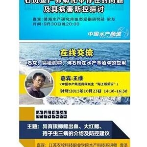 �҂����ǂ��桪����2016���ˮ�a��