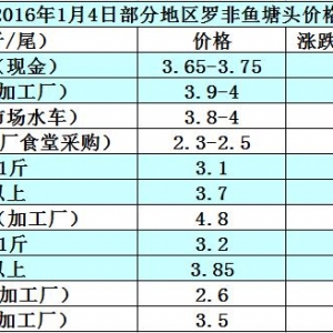 �_���~�r���܈��N�����m����   �~�r�����y�q