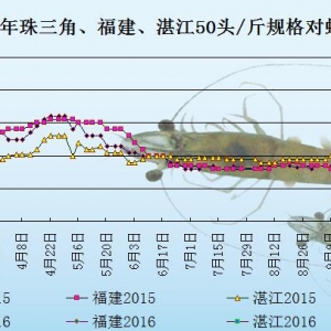 ���r��߅�r������(y��ng)�p��  �����r�r��(w��n)���ϝq