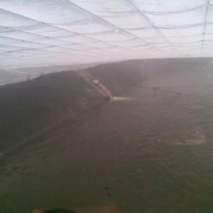 ǰ���n�ã�ʩ��Ԕ���v��׌��r�����Bֳ���g�P�I�c