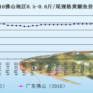 �S��~�r���܈�ُ�Nƽ��  �~�r�����Нq