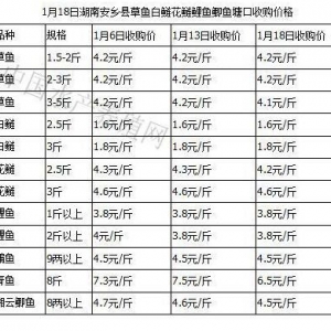 ���ϳ��£����~���~���~�r����� ���~�����كr��