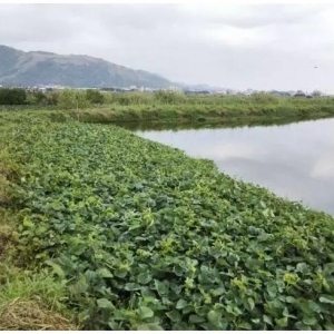 ��˼·����ģʽ�������c(di��n)���I(l��ng)���|�؅^(q��)�~�r���B(y��ng)