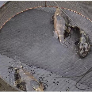 ���r�D�Bʯ�ߵ��˺ܶ࣬���s�в�һ�ӵĵط�