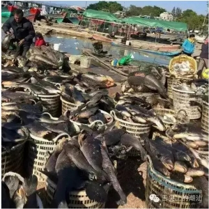 1.6�|�pʧ...�����|Ŀ�@�ģ����į�������