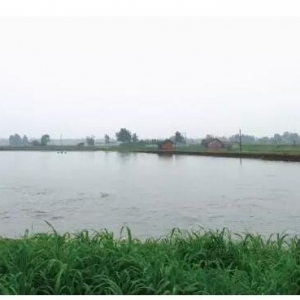 ��������£��@�����B����������߽���Ч��