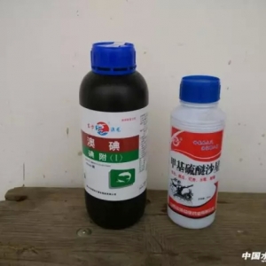 ���������ױ��lˮù�Ȳ�����һ�����Ҟ���֧�У�