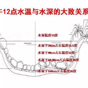 ˮ�a�Bֳ�ˑ���Α��������������ĘO�����