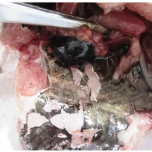 ���_���~��ˮ��ΰ��������\�Σ��Y�����ƣ�����s��Ȼ��ͬ