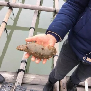 ϼ�ֺ����L�ݲ��ѣ��AӋ�_���󌢴���p�a