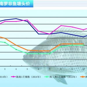 �_���~�N��������p �����~�r�ϝq�y������ˮ�aǰ�ء�2015��11�¿��Ј�څ��