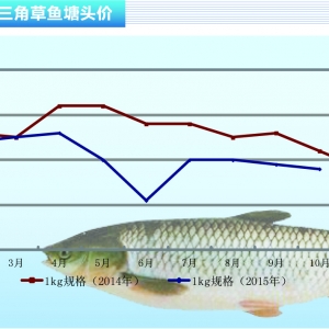 ���~����С���~������ˮ�aǰ�ء�2015��11�¿��Ј�څ��