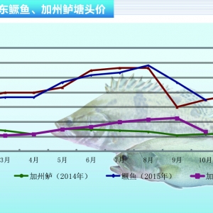 �����|����ƣ�v ���~�߷匢�r���ߵ͡�����ˮ�aǰ�ء�2015��11�¿��Ј�څ��