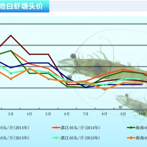 ���r���N�����鲻�� �����r�r�y��q������ˮ�aǰ�ء�2015��11�¿��Ј�څ��