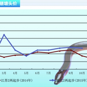 �S�X�r��ƽ�� �ЗlҎ����N������ˮ�aǰ�ء�2015��11�¿��Ј�څ��