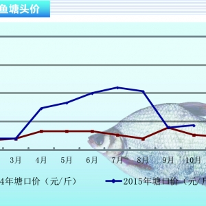 ���~���K�σr��С���ϓP���ɽ�����ߡ�����ˮ�aǰ�ء�2015��11�¿��Ј�څ��