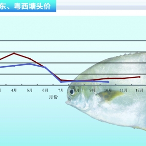 ���K�M�����и߷� �r�������½�������ˮ�aǰ�ء�2015��11�¿��Ј�څ��