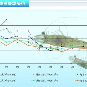 ���r��؛Դ�u�� �r�r�����\���С�����ˮ�aǰ�ء�2015��12�¿��Ј�څ��