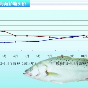 ���|�����wڅ�� �����ֵ̓rλ�\�С�����ˮ�aǰ�ء�2015��12�¿��Ј�څ��