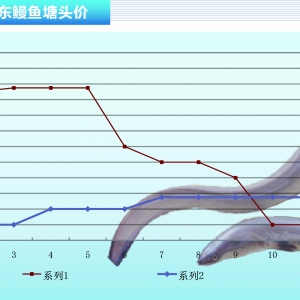 ���~�r���c���³�ƽ������ˮ�aǰ�ء�2015��12�¿��Ј�څ��